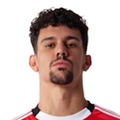 Tomás Araújo